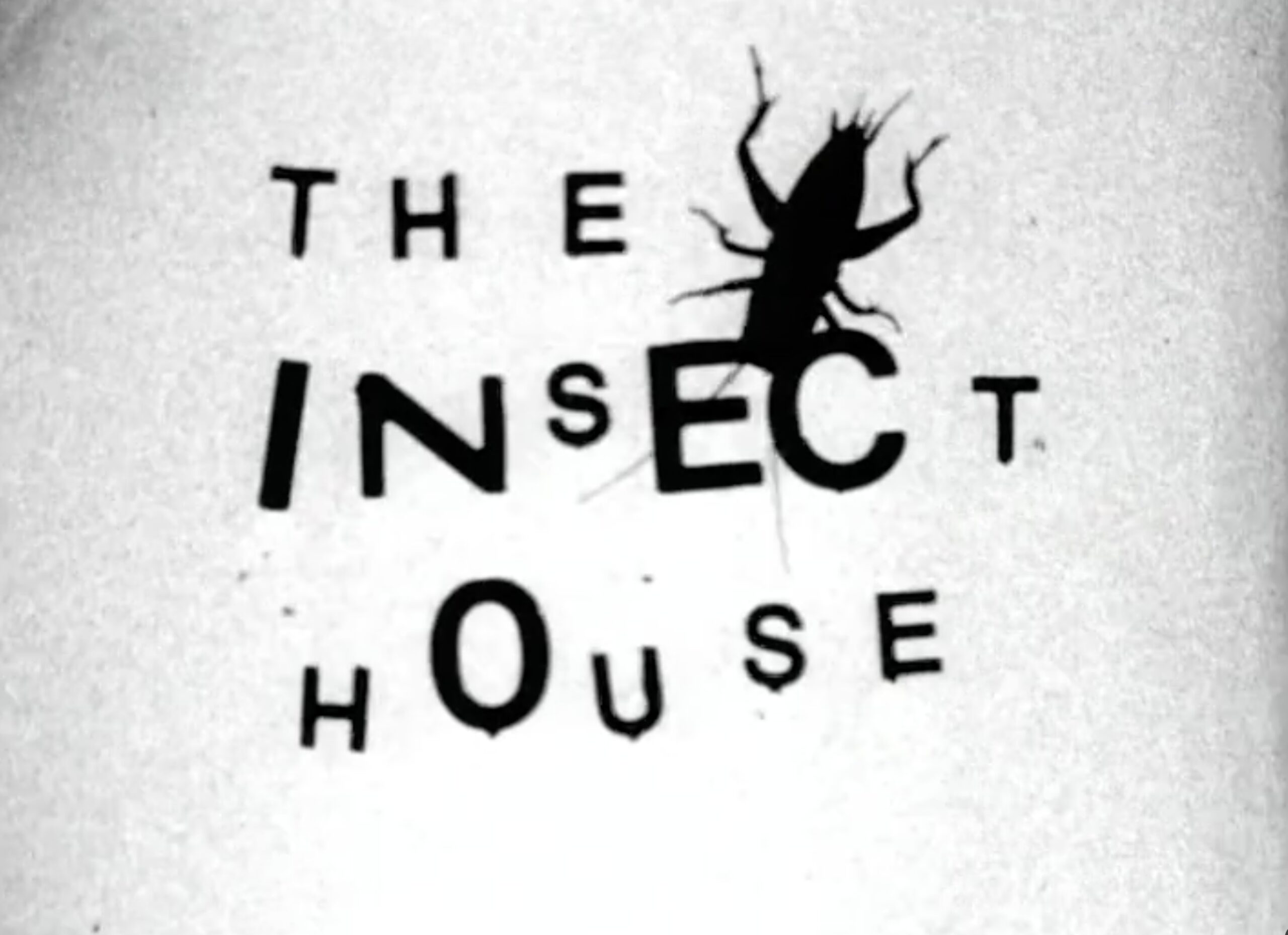 Insecthousestill