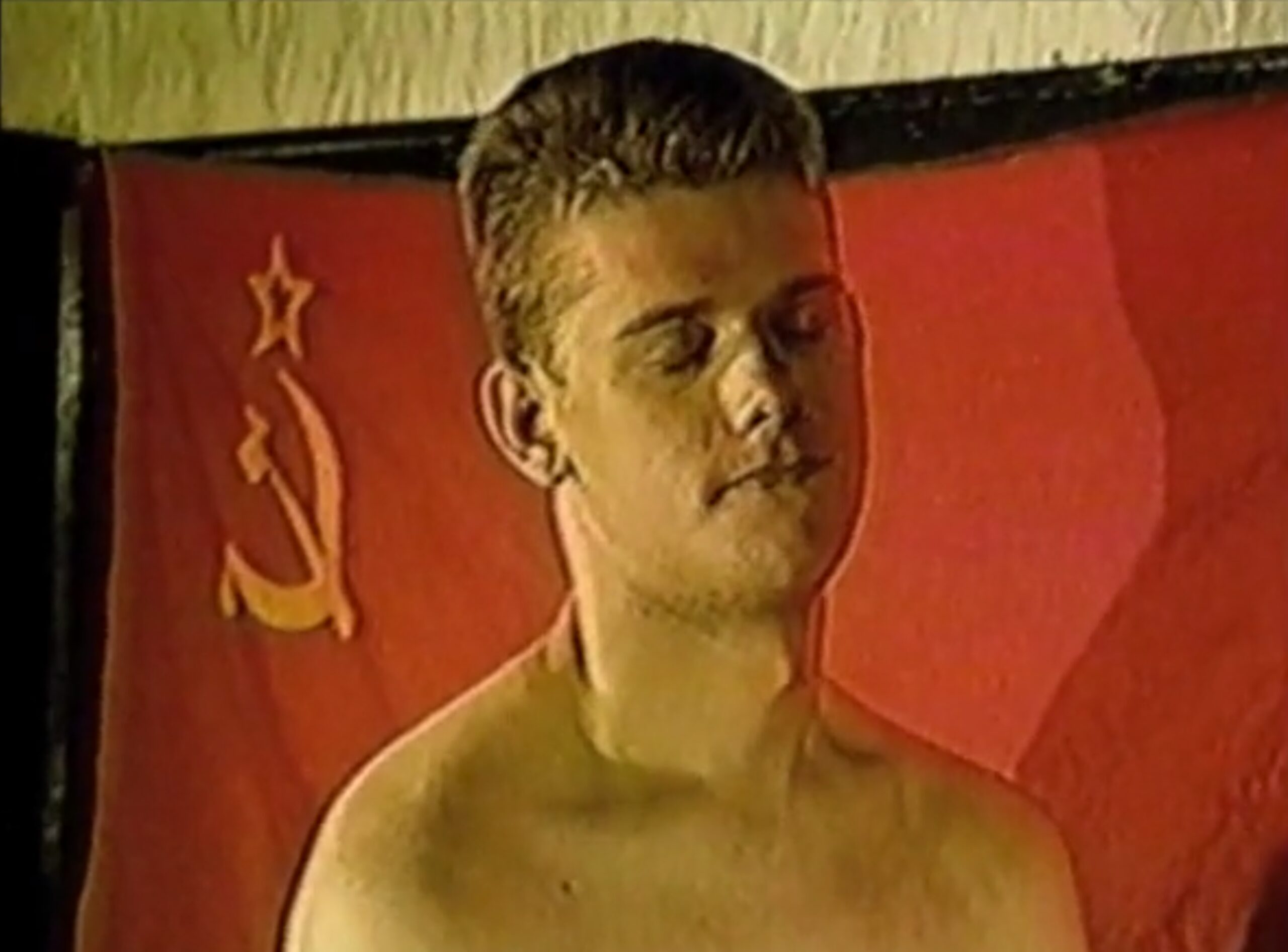 The Fall of Communism as Seen in Gay Pornography
